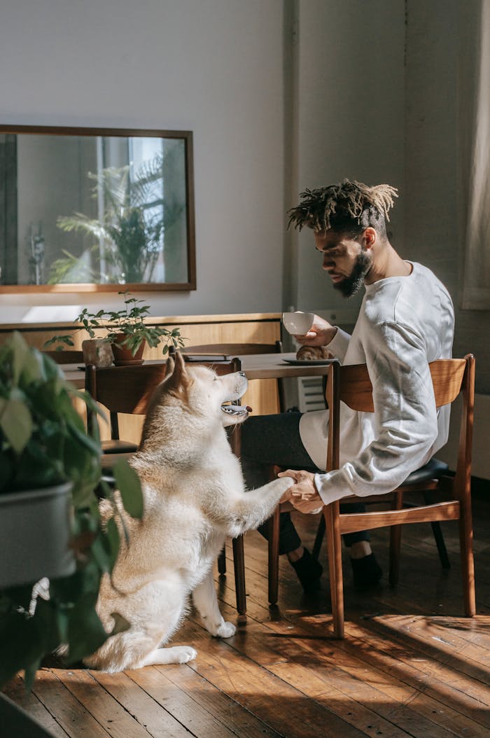 Man enjoying coffee indoors with his friendly Akita Inu dog during a sunny day.